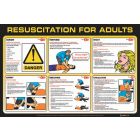 Resuscitation  for Adults Poster